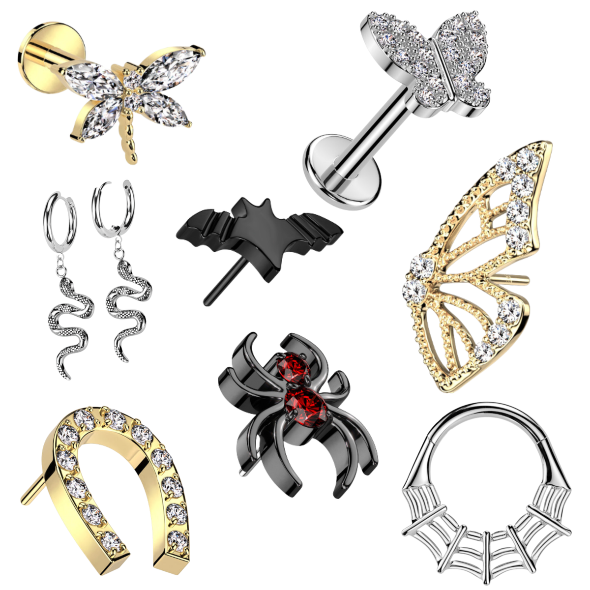 Animals & Insects