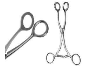 Collins Tongue Forceps with Lock