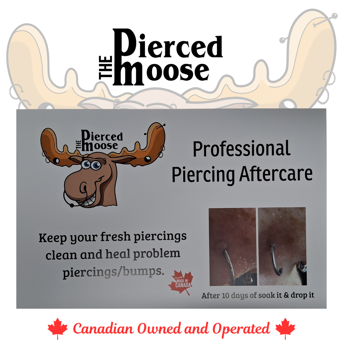 Pierced Moose Aftercare Posters
