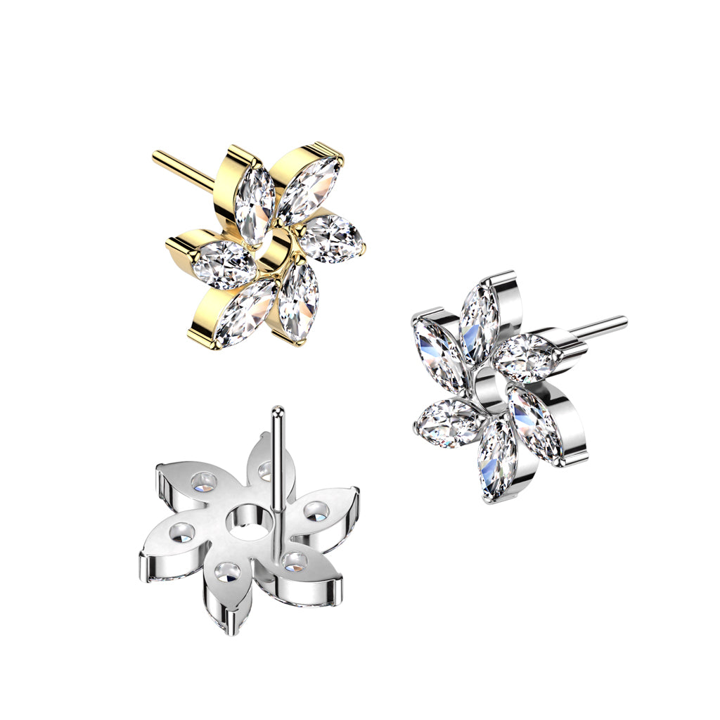 Canadian Piercing Supply Wholesale for Professionals