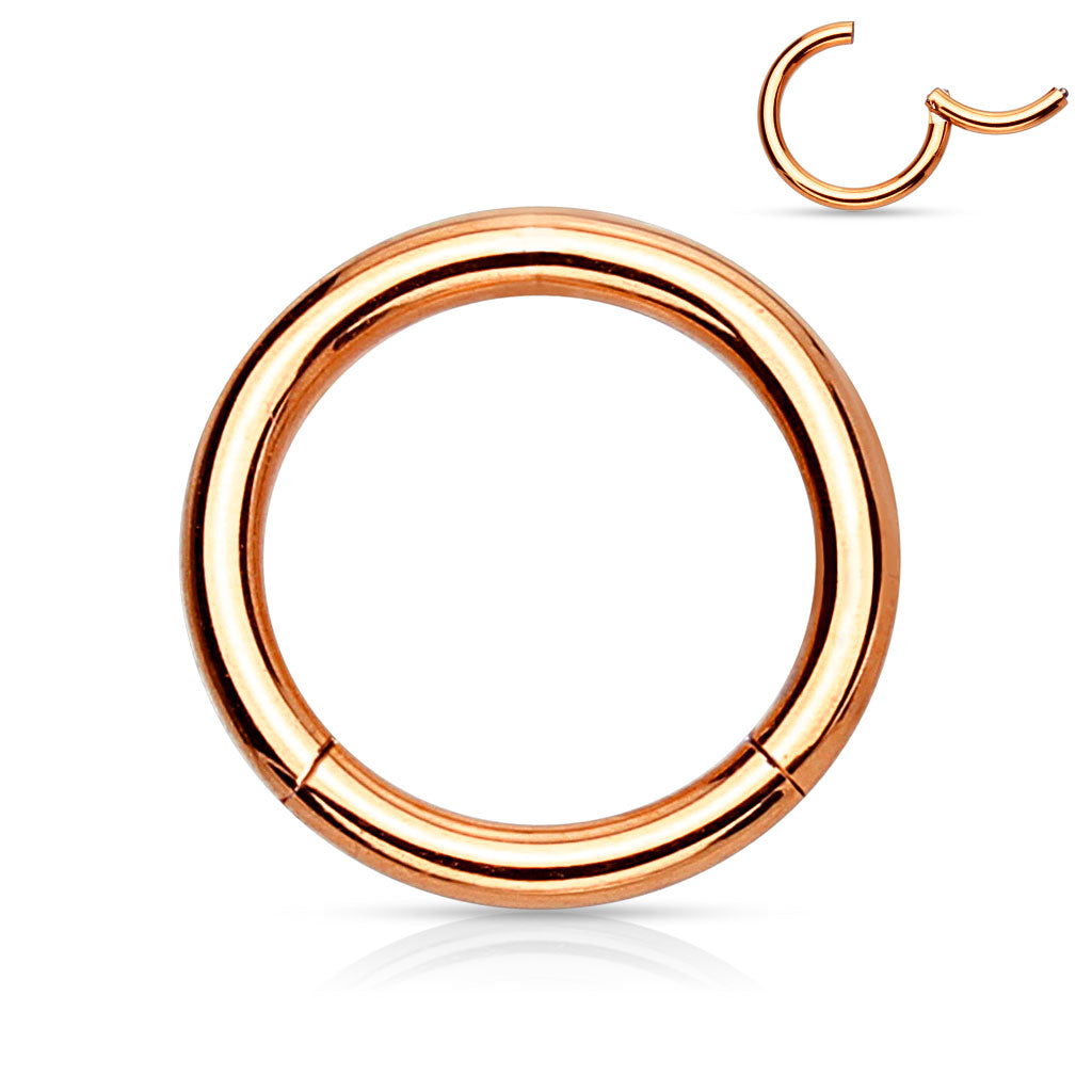 Surgical Steel Hinged Rings  20G & 18G - Coloured