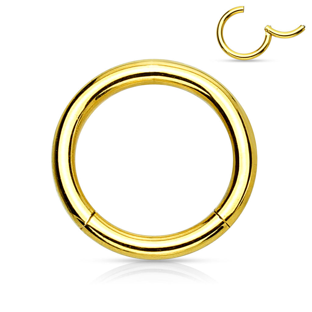 Surgical Steel Hinged Rings  20G & 18G - Coloured