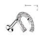 Surgical Steel Threadless CNC CZ Horseshoe Top Labret Combo