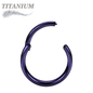 Titanium Hinged Rings 16G and 14G - Coloured