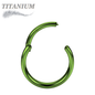 Titanium Hinged Rings 20G and 18G - Coloured