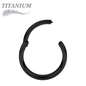 Titanium Hinged Rings 20G and 18G - Coloured