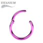 Titanium Hinged Rings 20G and 18G - Coloured