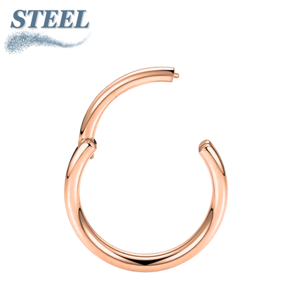 Surgical Steel Hinged Rings  20G & 18G - Coloured