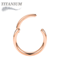 Titanium Hinged Rings 20G and 18G - Coloured