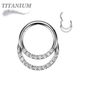 Titanium Double Ring Front Facing Cubic Zirconia Hinged Ring