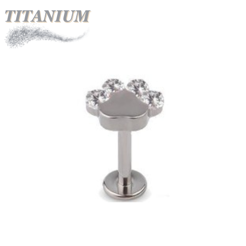 Titanium Internally Threaded CZ Set Paw Labret